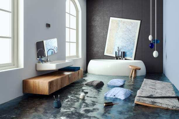  Rice Lake, MN Water damage restoration Pros