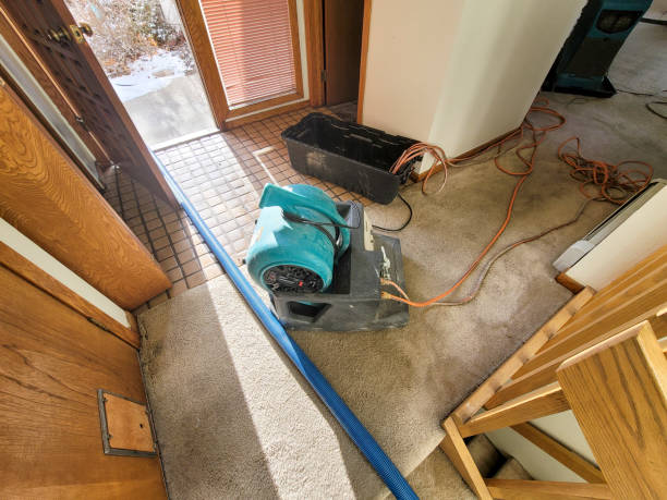 Best Water damage restoration near me  in Rice Lake, MN