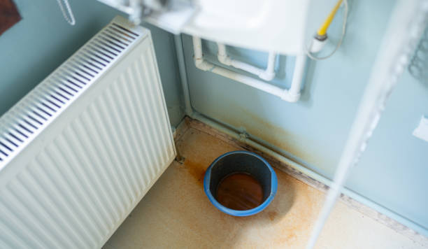 Best Emergency water damage restoration  in Rice Lake, MN